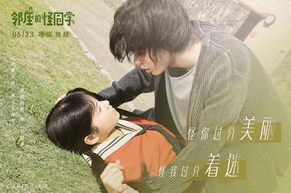 猫吐黄水不吃东西怎么办——专业有问必答平台